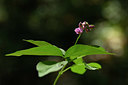 BUITEN BEELD Foto: 325336