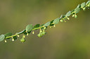 BUITEN BEELD Foto: 325353