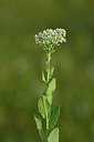BUITEN BEELD Foto: 325363