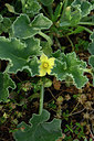BUITEN BEELD Foto: 325364