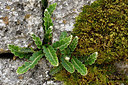 BUITEN BEELD Foto: 325394