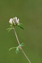 BUITEN BEELD Foto: 325407