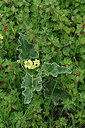 BUITEN BEELD Foto: 325408