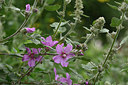 BUITEN BEELD Foto: 325411