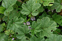 BUITEN BEELD Foto: 325417