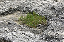 BUITEN BEELD Foto: 325418
