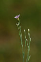 BUITEN BEELD Foto: 325423