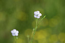 BUITEN BEELD Foto: 325434