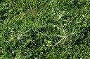 BUITEN BEELD Foto: 325437