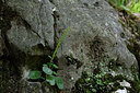 BUITEN BEELD Foto: 325444