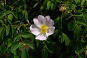 BUITEN BEELD Foto: 325450