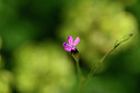 BUITEN BEELD Foto: 325458