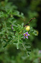 BUITEN BEELD Foto: 325464