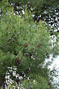 BUITEN BEELD Foto: 325472