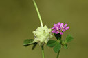 BUITEN BEELD Foto: 325474