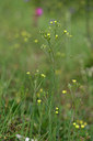 BUITEN BEELD Foto: 325489