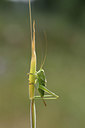 BUITEN BEELD Foto: 325497