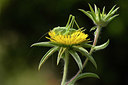 BUITEN BEELD Foto: 325516