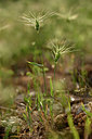 BUITEN BEELD Foto: 325524