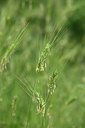 BUITEN BEELD Foto: 325525