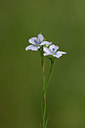 BUITEN BEELD Foto: 325531