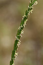 BUITEN BEELD Foto: 325532