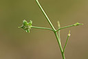 BUITEN BEELD Foto: 325533