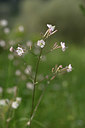 BUITEN BEELD Foto: 325539