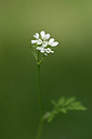 BUITEN BEELD Foto: 325543