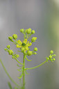 BUITEN BEELD Foto: 325547