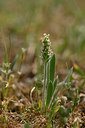 BUITEN BEELD Foto: 325557