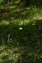 BUITEN BEELD Foto: 325567