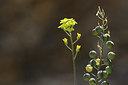 BUITEN BEELD Foto: 325586