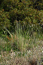 BUITEN BEELD Foto: 325589