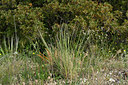BUITEN BEELD Foto: 325590