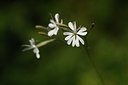 BUITEN BEELD Foto: 325596