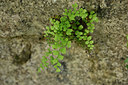 BUITEN BEELD Foto: 325597