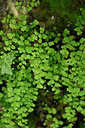 BUITEN BEELD Foto: 325598