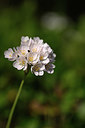 BUITEN BEELD Foto: 325610