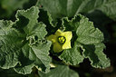 BUITEN BEELD Foto: 325614