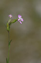 BUITEN BEELD Foto: 325626
