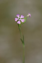 BUITEN BEELD Foto: 325627