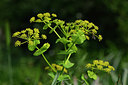 BUITEN BEELD Foto: 325628