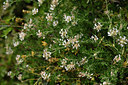 BUITEN BEELD Foto: 325630