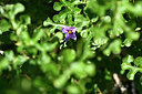 BUITEN BEELD Foto: 325672