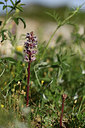 BUITEN BEELD Foto: 325680