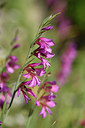 BUITEN BEELD Foto: 325701