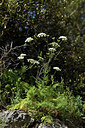 BUITEN BEELD Foto: 325703
