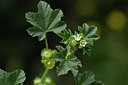 BUITEN BEELD Foto: 325739