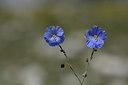 BUITEN BEELD Foto: 325742